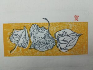 Плоды физалиса